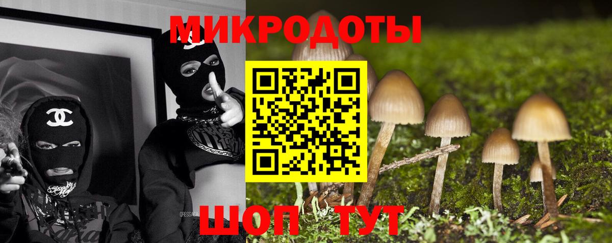 Бийск  Псилоцибиновые грибы MAGIC MUSHROOMS  Вход с VPN 